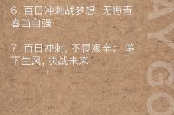 雷速体育电脑版官网-勇往直前的球员，奋力拼搏不言败的简单介绍