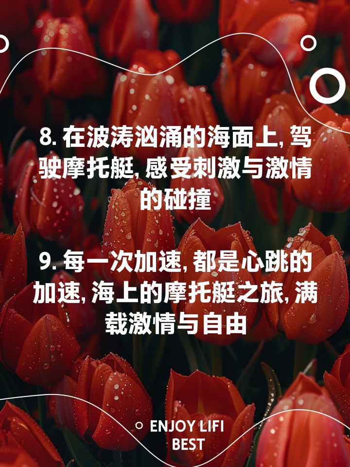激情拼搏！每一次进攻都刺激人心！的简单介绍