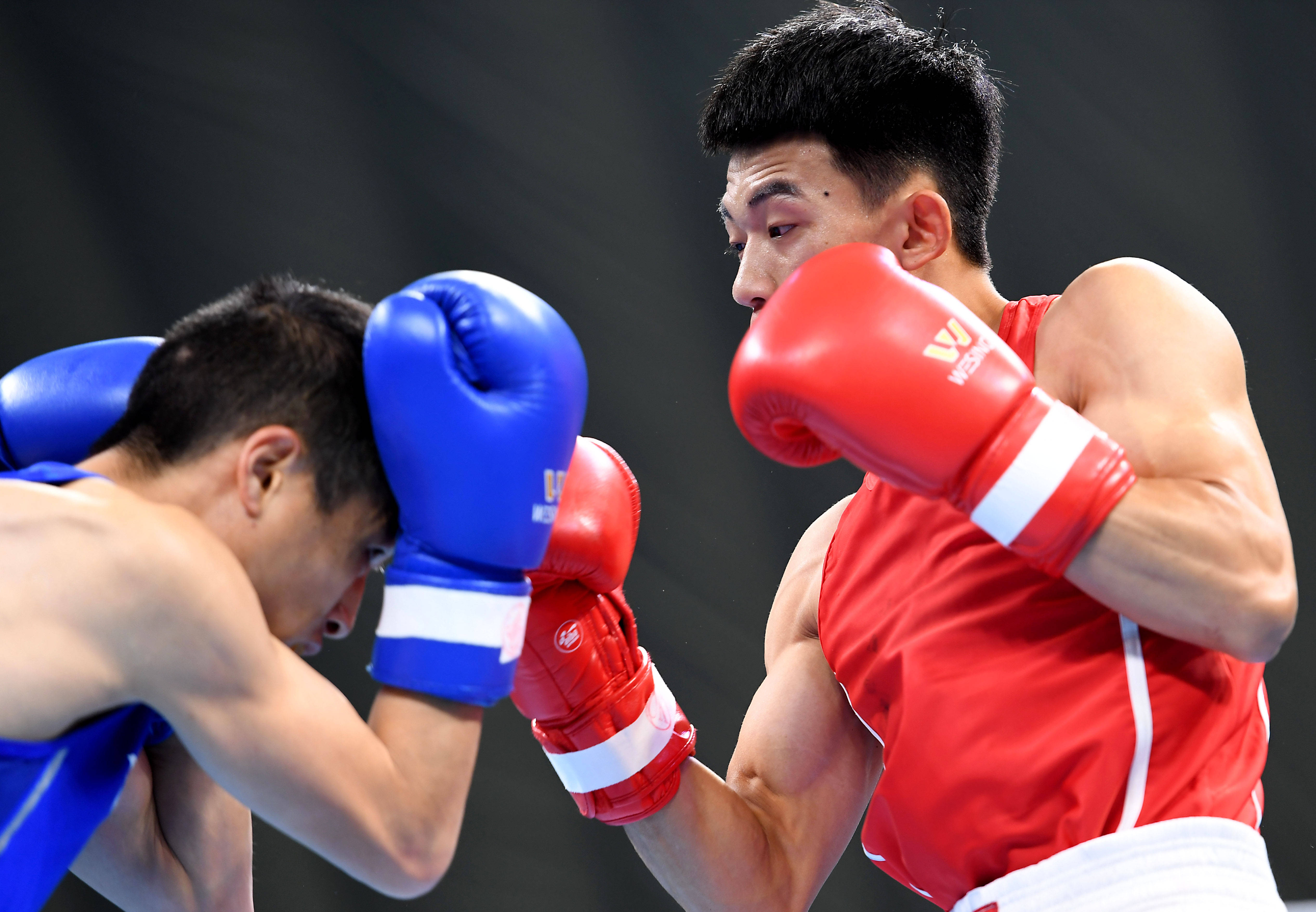 新西兰选手取得拳击男子60公斤级十六强资格 新西兰选手取得拳击男子60公斤级十六强资格