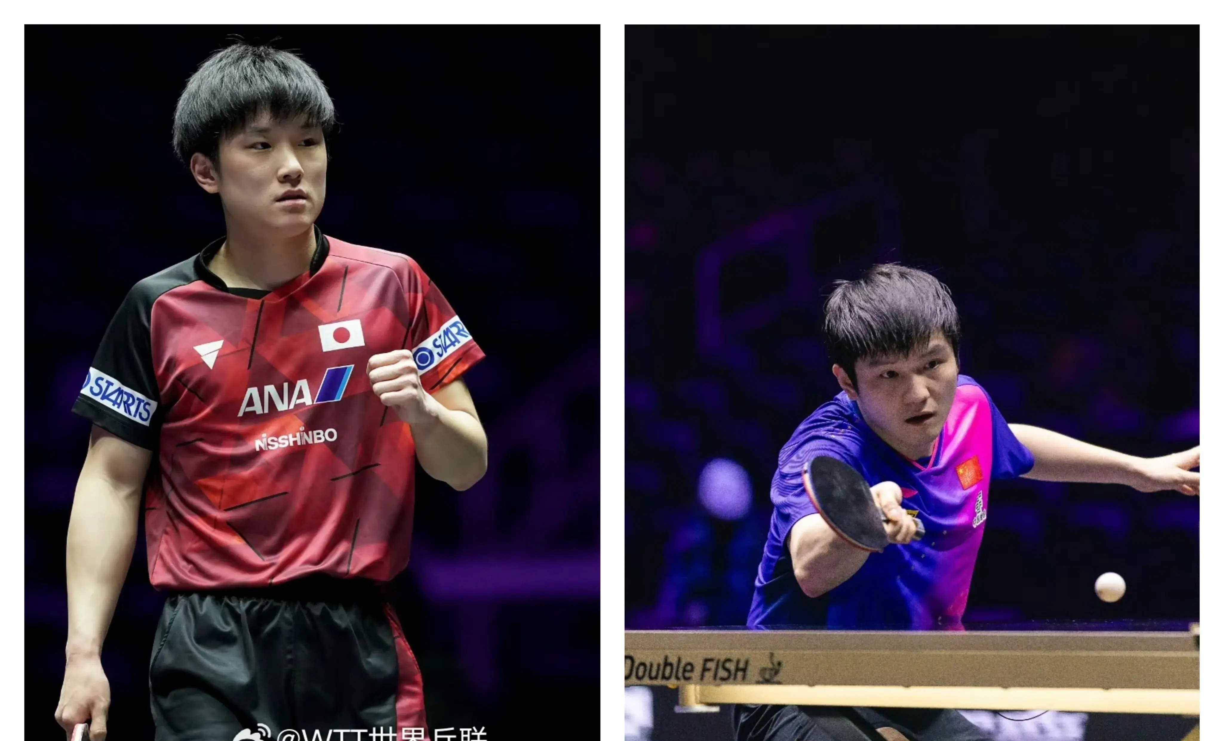 韩国乒乓球队完胜中国乒乓球队,张本智和高光表现的简单介绍 韩国乒乓球队完胜中国乒乓球队,张本智和高光表现的简单介绍