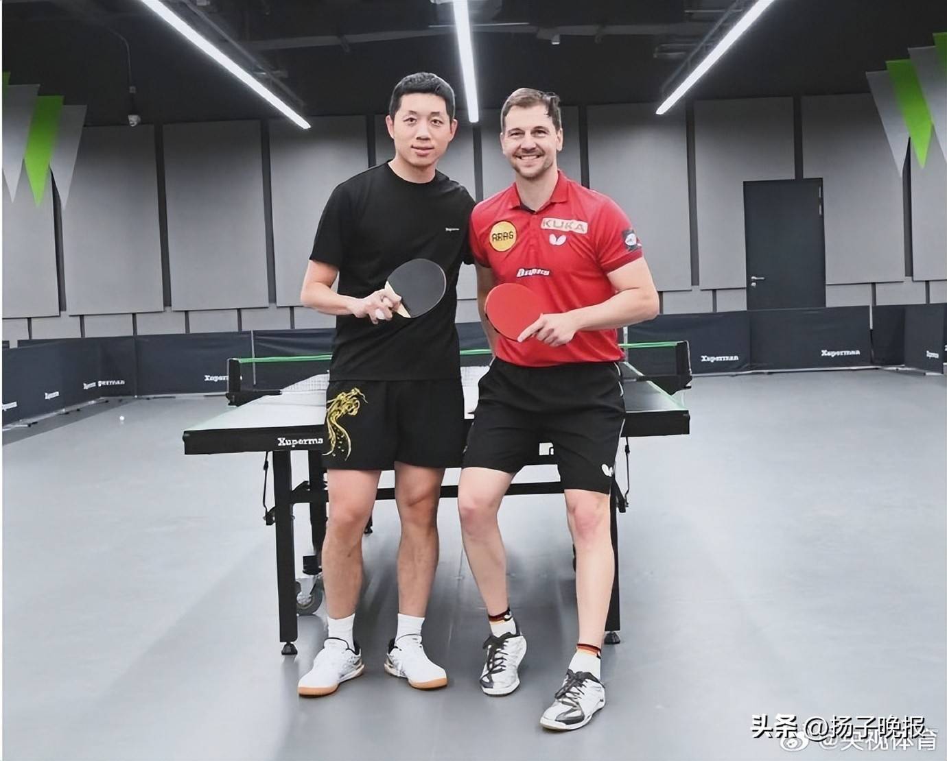 关于德国乒乓球队逆转比利时乒乓球队,波尔高光表现的信息 关于德国乒乓球队逆转比利时乒乓球队,波尔高光表现的信息